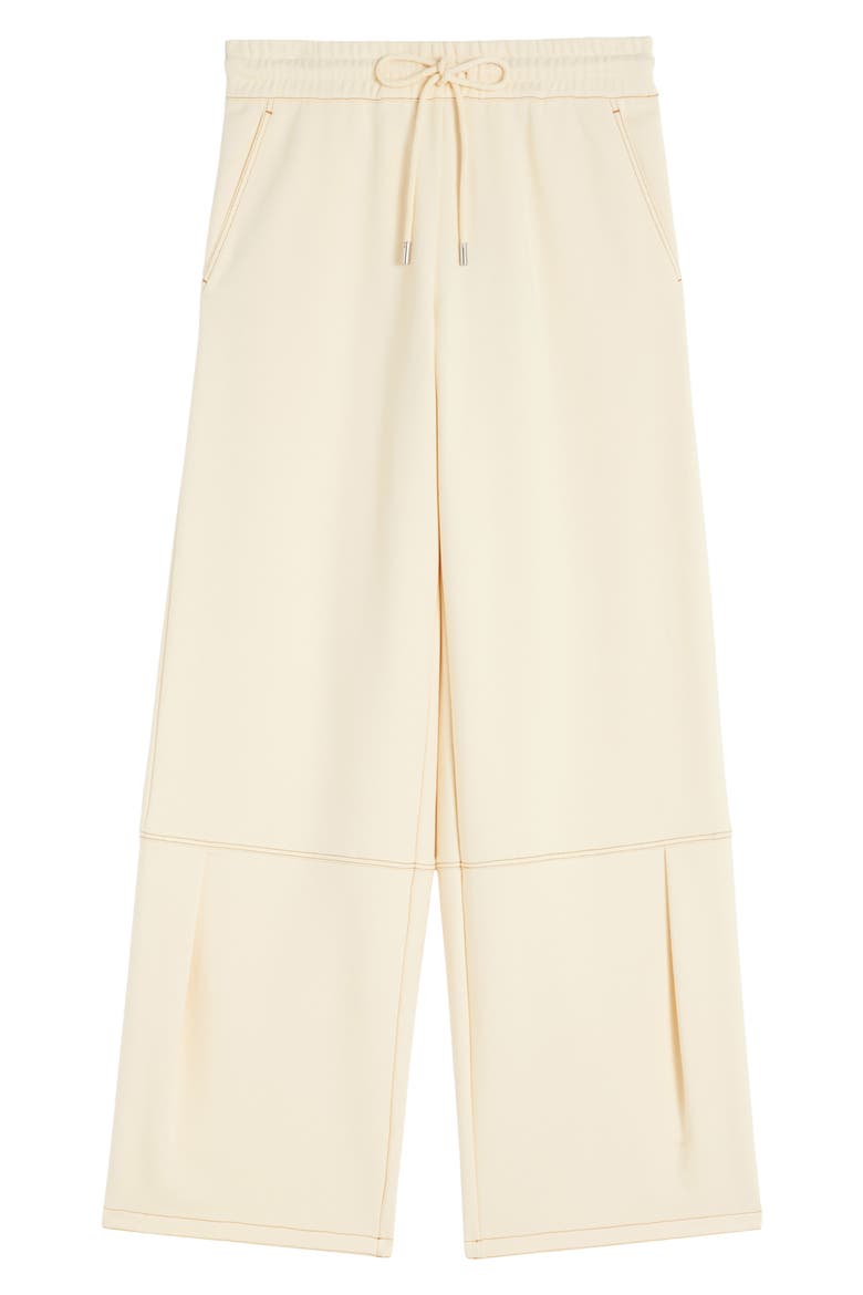 Panfilo Tie Waist Wide Leg Pants, Alternate, color, IVORY