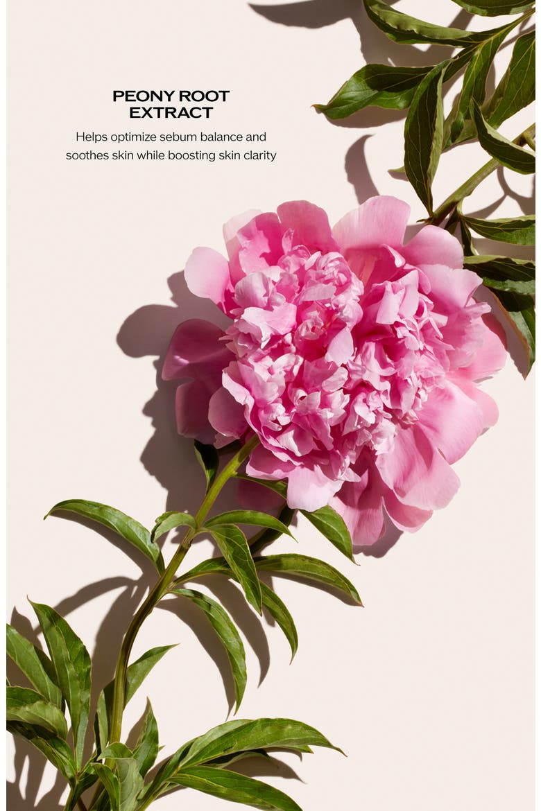 Deep Cleansing Foam, Alternate, color, NO COLOR