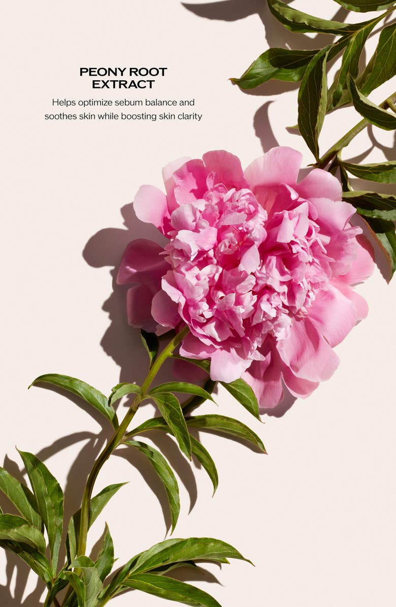 Shiseido Deep Cleansing Foam, Alternate, color,