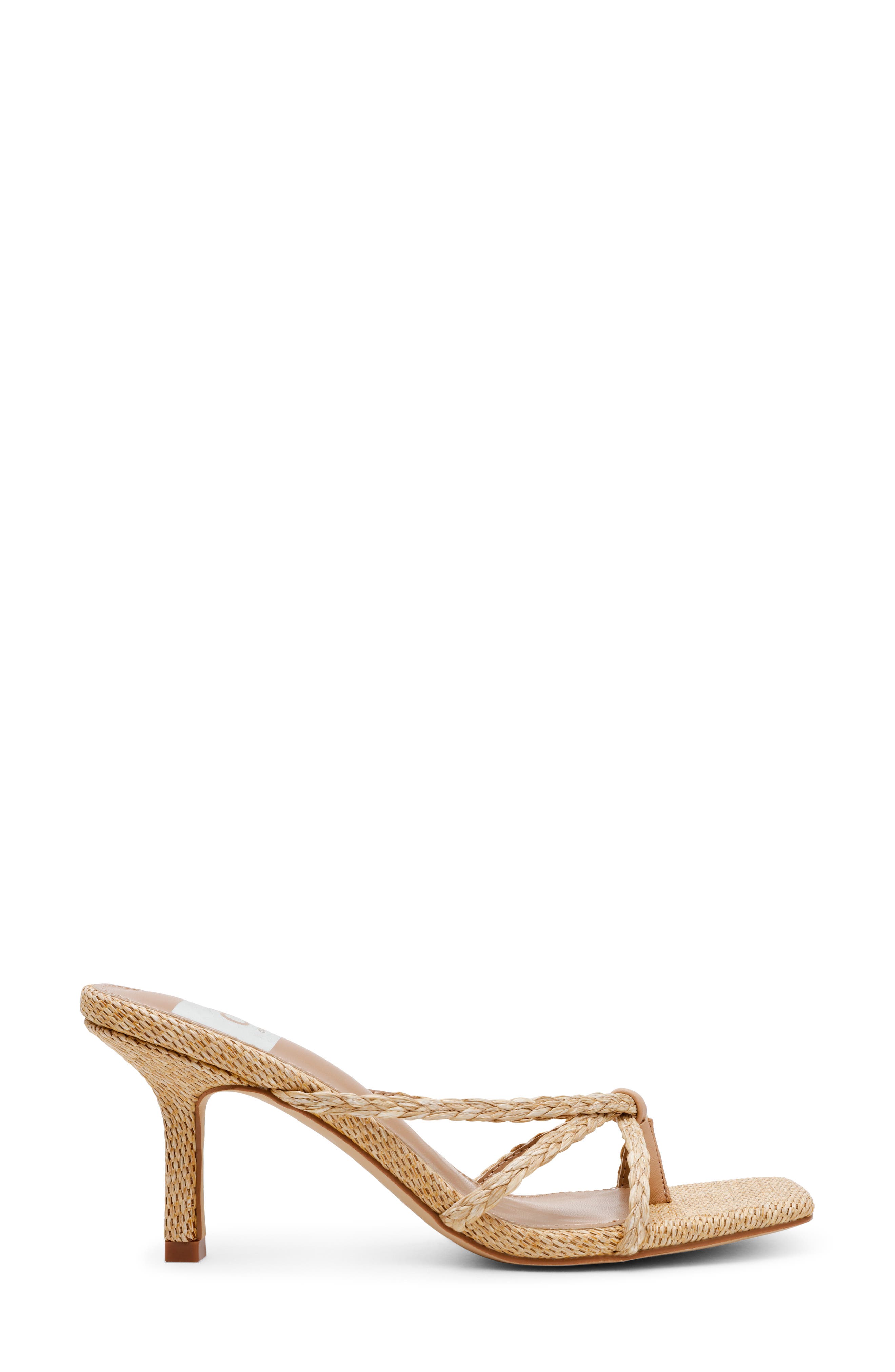 DV by Dolce Vita Zini Thong Heel, Alternate, color, Raffia