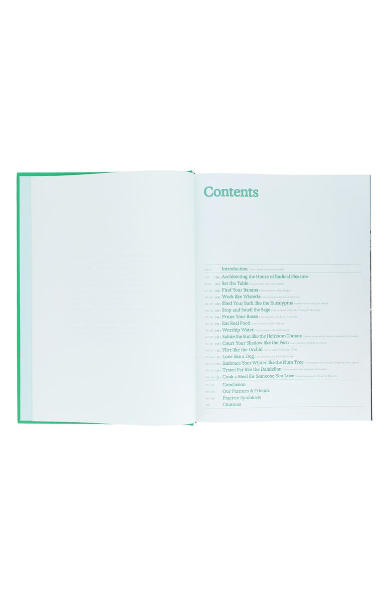 Chronicle Books 'Flamingo Estate: The Guide to Becoming Alive' Book, Alternate, color, 