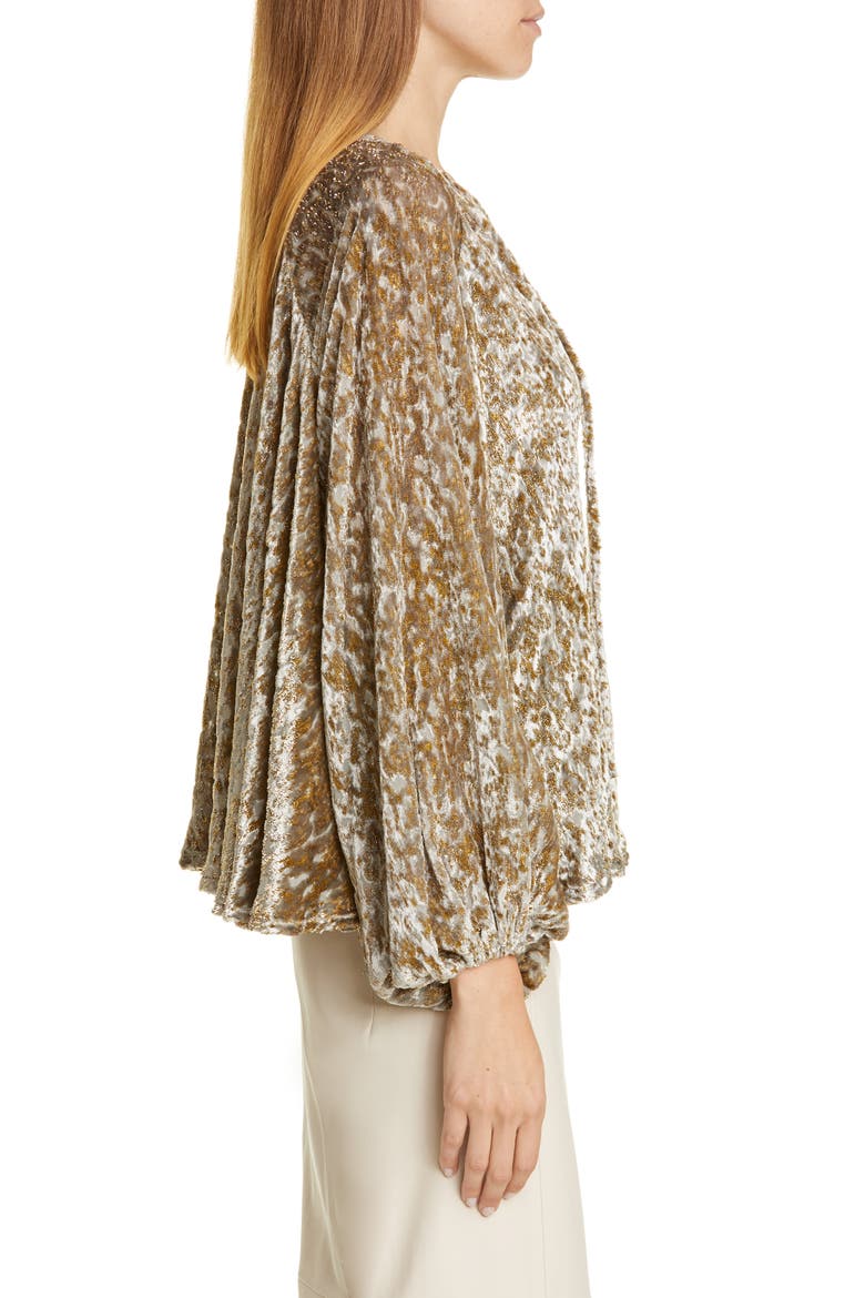 Embroidered Velvet Balloon Sleeve Top, Alternate, color, GOLD