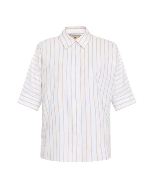 Theo The Label Women's Echo Back Button Dolman Shirt - White / Sand In White/sand