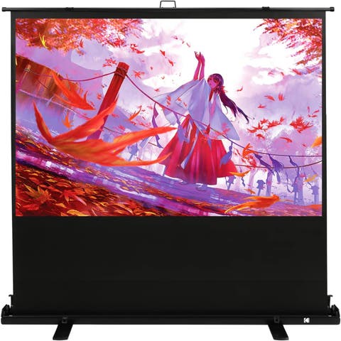 100 Portable Projector Screen, 169 Video Projection Screen & Stand with Carry Handle