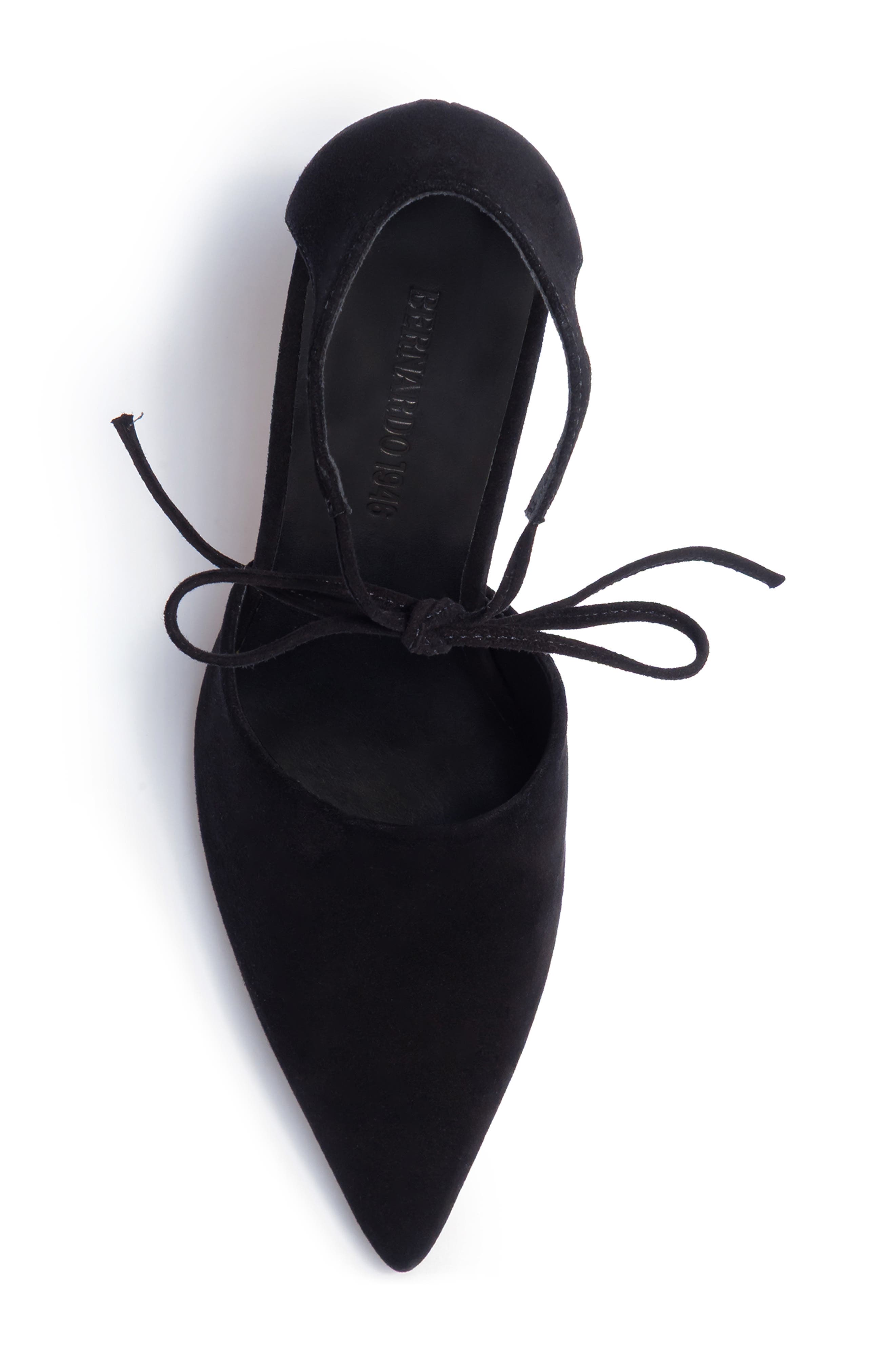 Siena Ankle Tie Pointed Toe Pump, Alternate, color, BLACK SUEDE