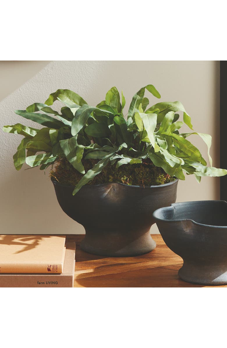 Napa Home & Garden Echeveria Fern Artificial Plant Drop-In, Alternate, color, 