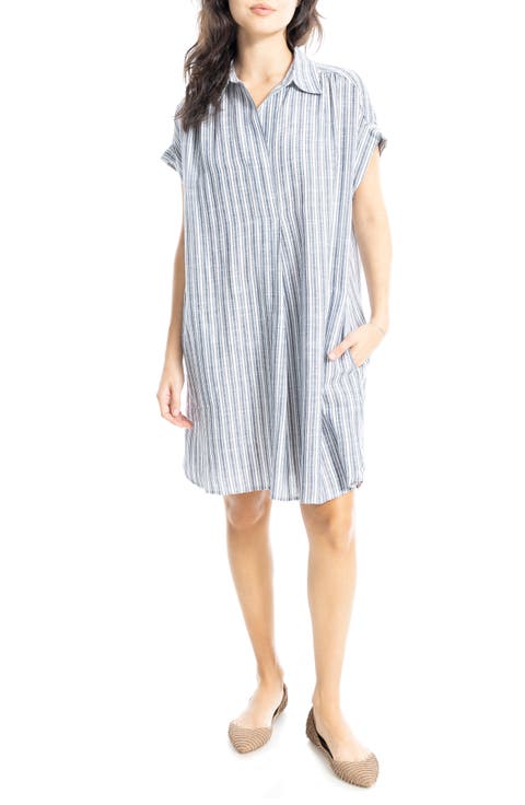 Collared Pinstripe Dress