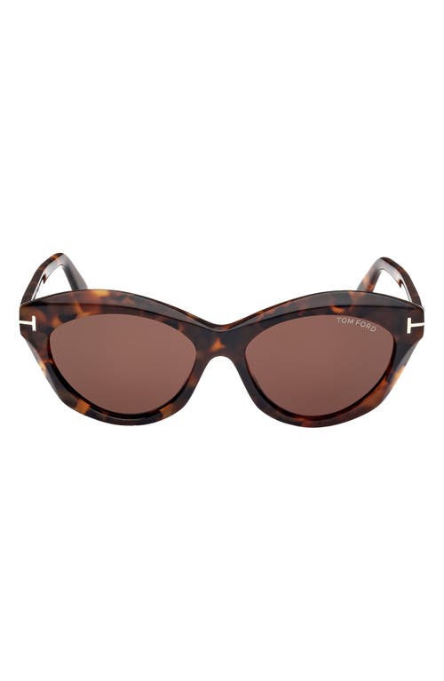 TOM FORD Toni 55mm Oval Sunglasses in Dark Havana/brown at Nordstrom
