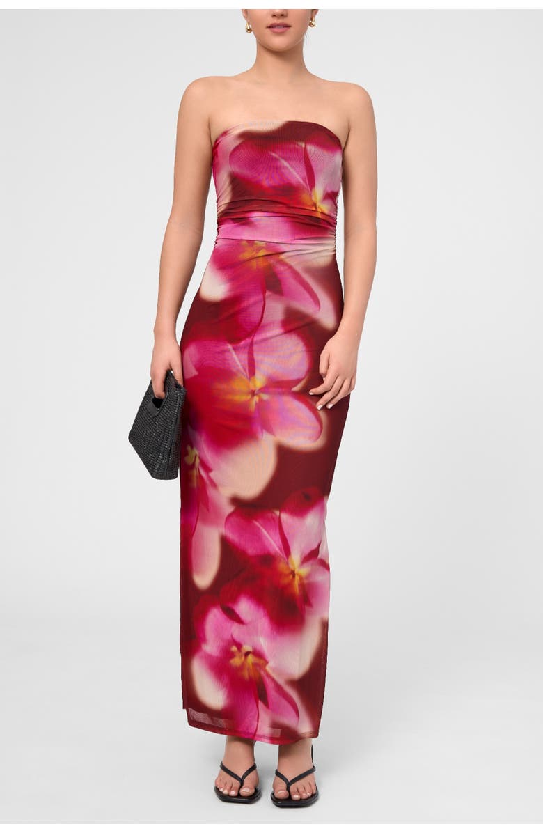 RACHEL Rachel Roy Isola Strapless Mesh Maxi Dress, Main, color, Dark Red