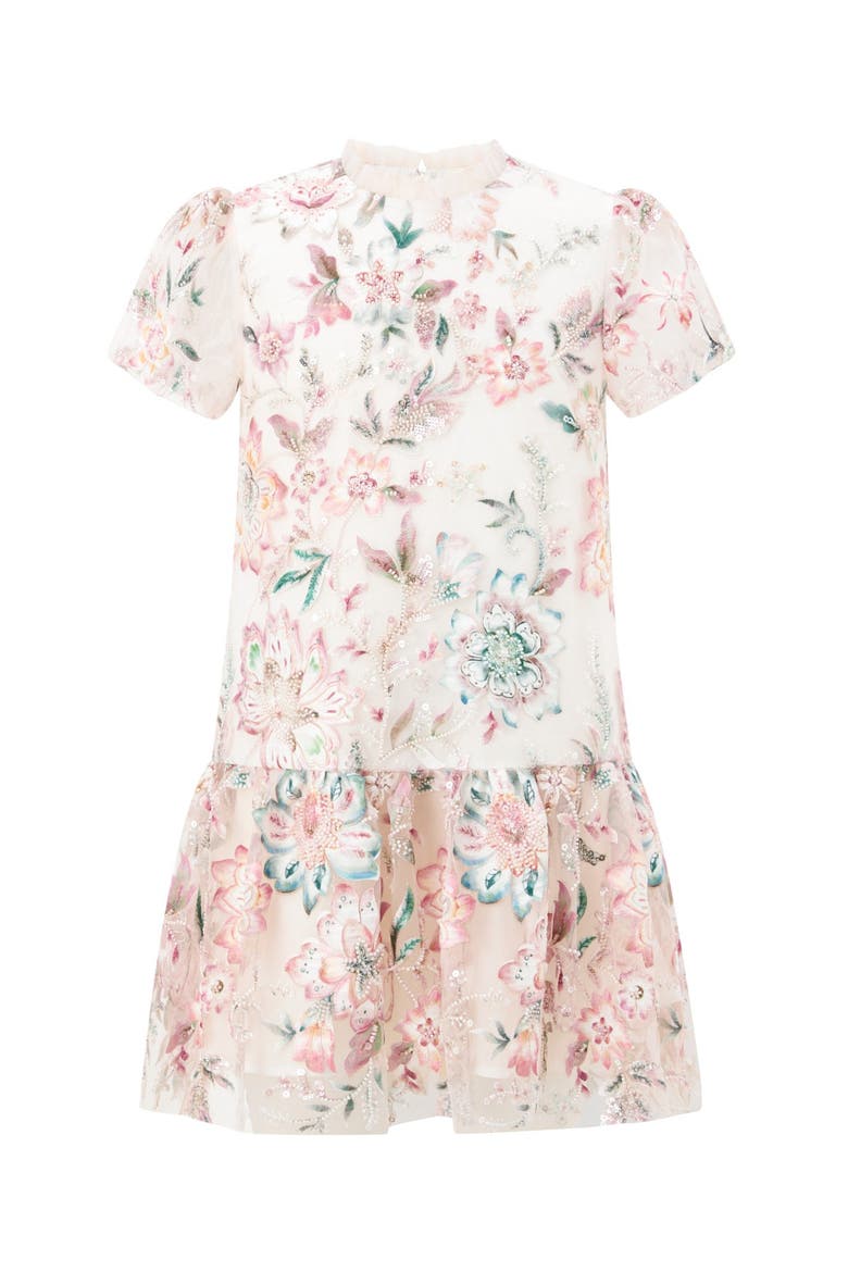 Veronica Embroidered Mini Dress, Main, color, Multi