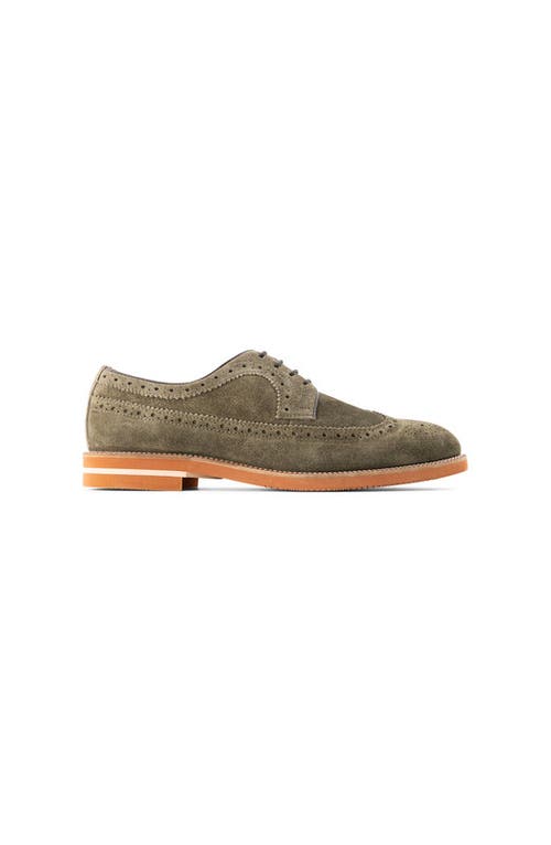 Anthony Veer Hamilton Wingtip Derby In Green
