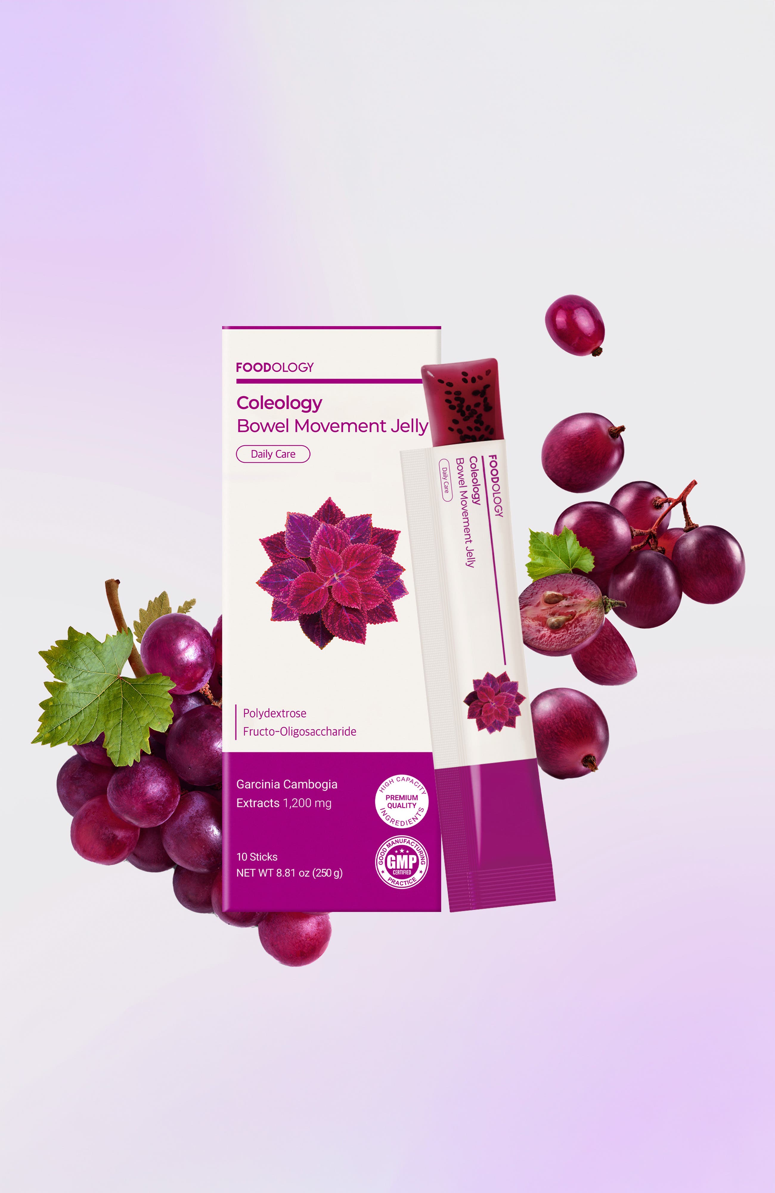 Foodology Coleology Bowel Movement Jelly 10 sticks | Nordstrom