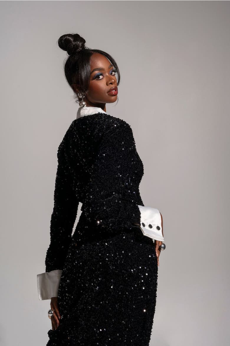Rei Sequin Maxi Dress, Alternate, color, Black
