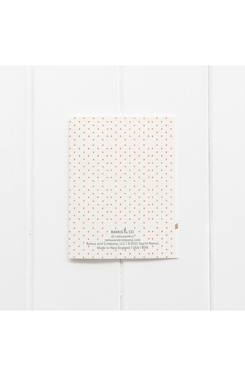 Ramus & Co Birthday Greeting Card Singles and Packs, Alternate, color, Multi-Pack