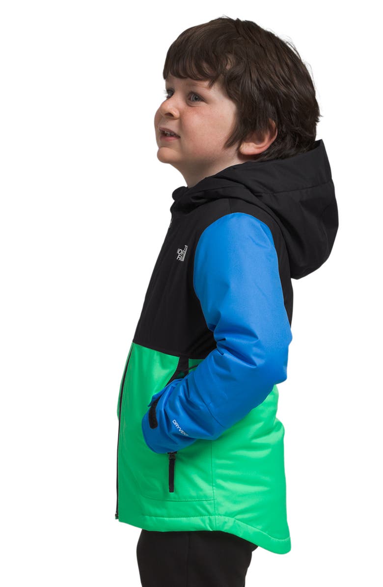 The North Face Kids' Freedom Insulated Waterproof Hooded Jacket, Alternate, color, 