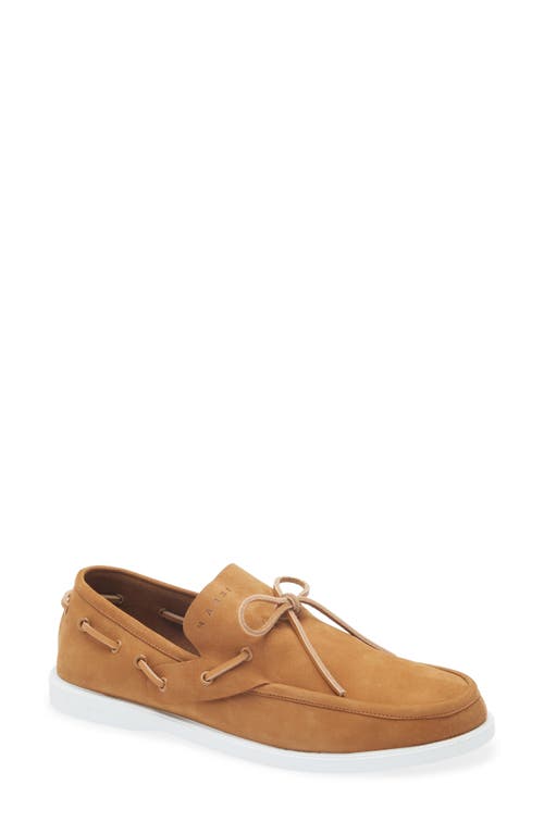 Shop Marni Boat Shoe In Coffee