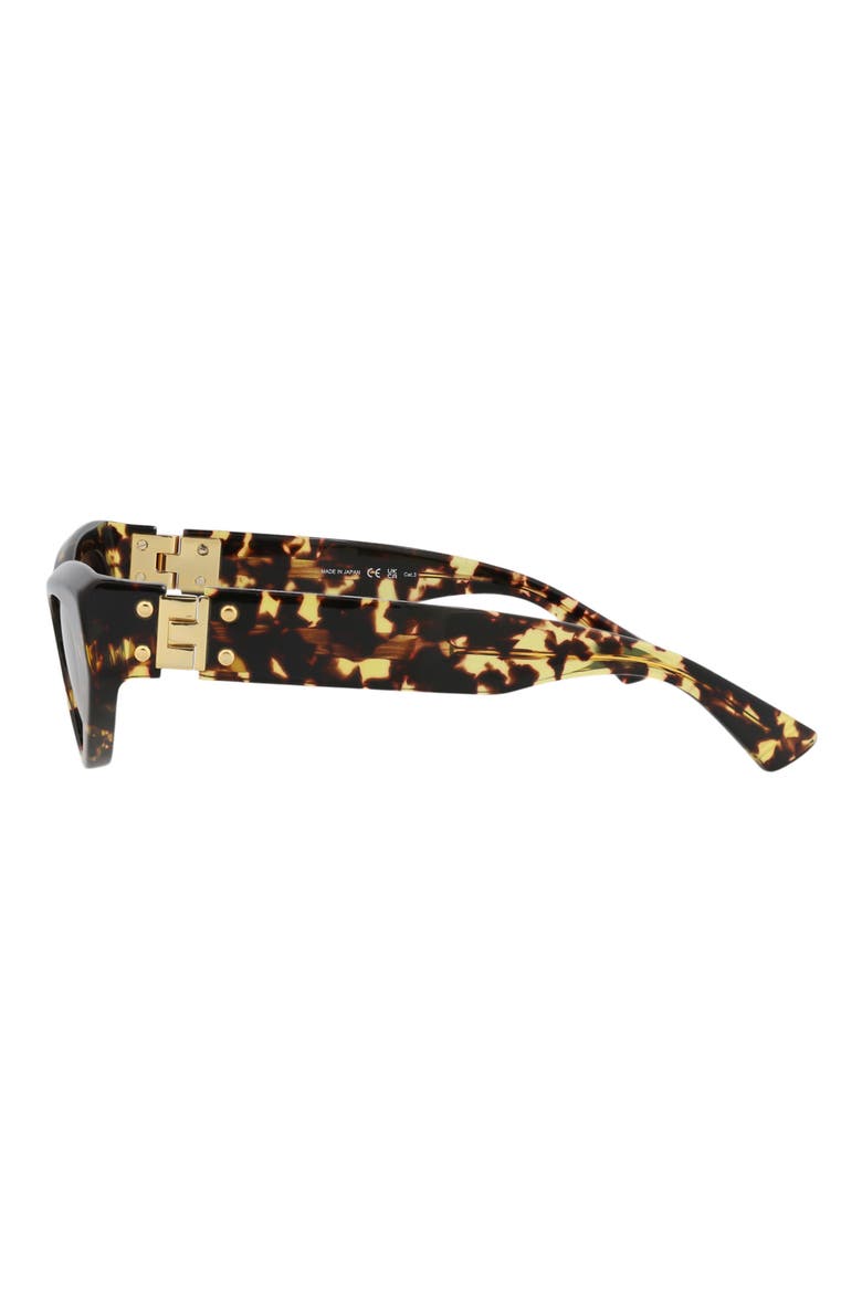 49mm Cat Eye Sunglasses, Alternate, color, HAVANA HAVANA BROWN