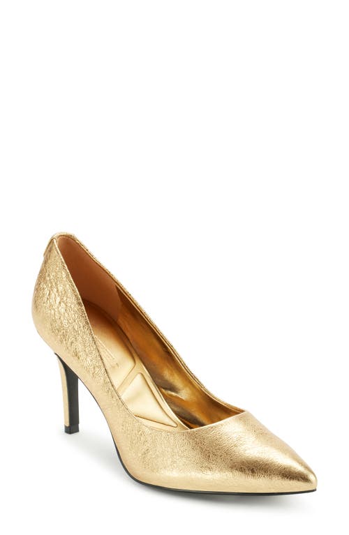 Karl Lagerfeld Paris Royale Pointed Toe Pump