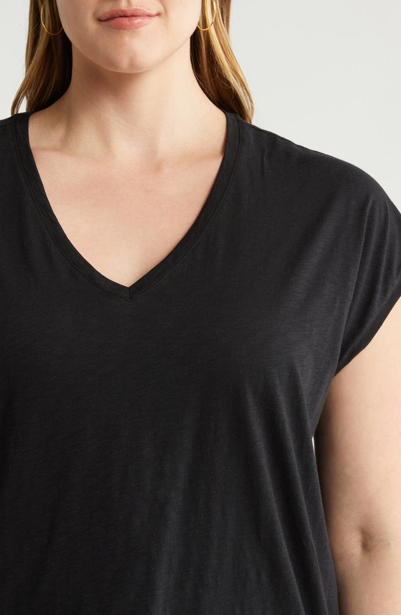 Nordstrom V-Neck Pima Cotton Slub T-Shirt, Alternate, color, 