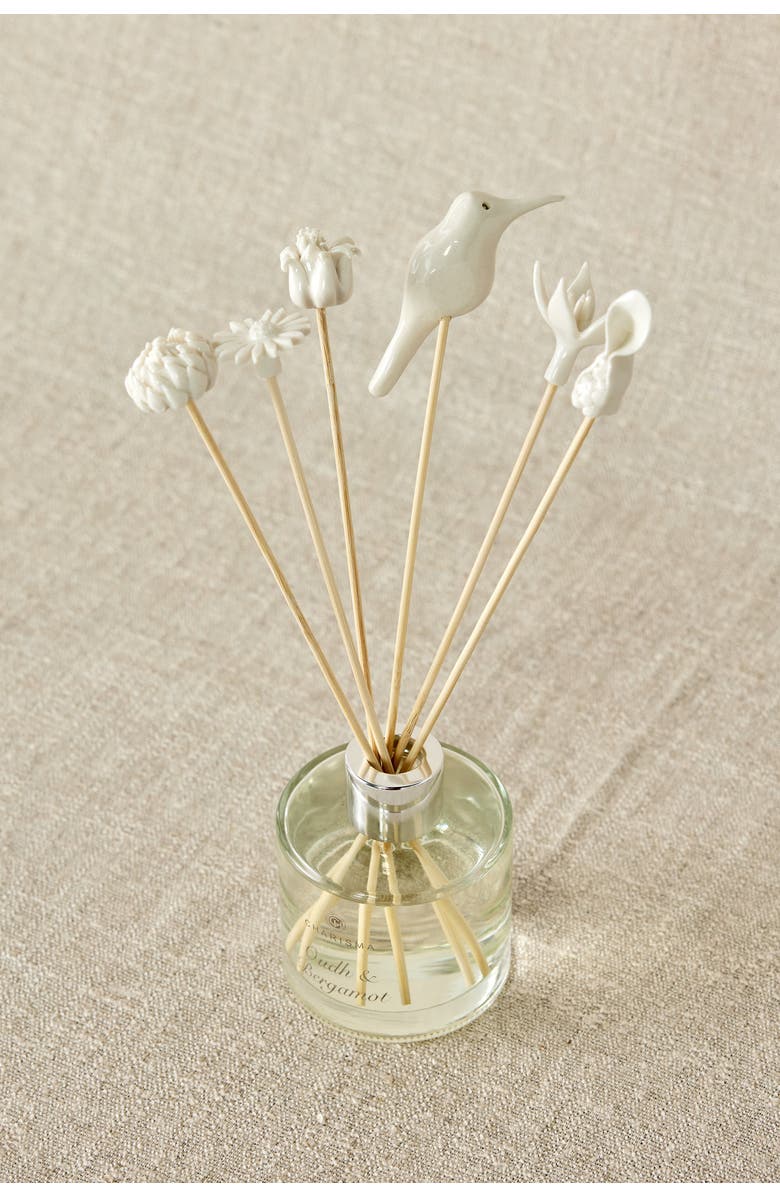 kanju Interiors African Flowers  Diffuser Set, Alternate, color, Natural - Small