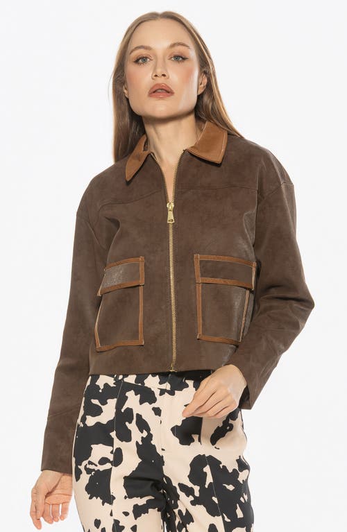 Alexia Admor Sorell Utility Jacket In Brown