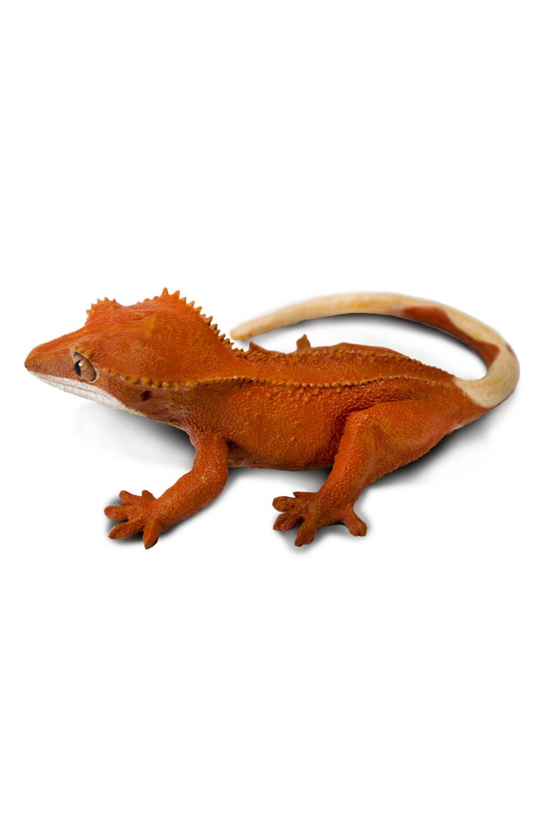 Crested Gecko Toy, Alternate, color, No Color