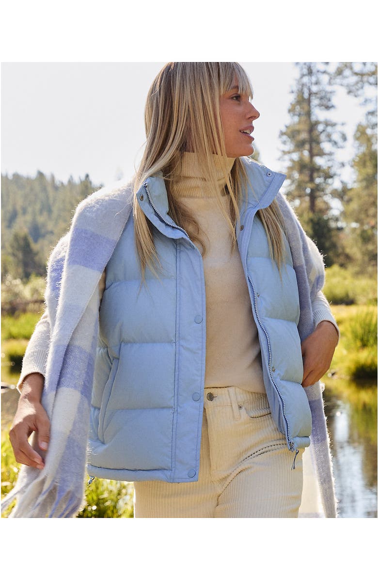 Lands' End Brushed Blanket Scarf, Alternate, color, Light Cornflower Check