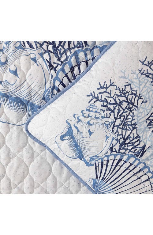 Beatrice Home Fashions Caribbean Joe Comforter & Shams Set