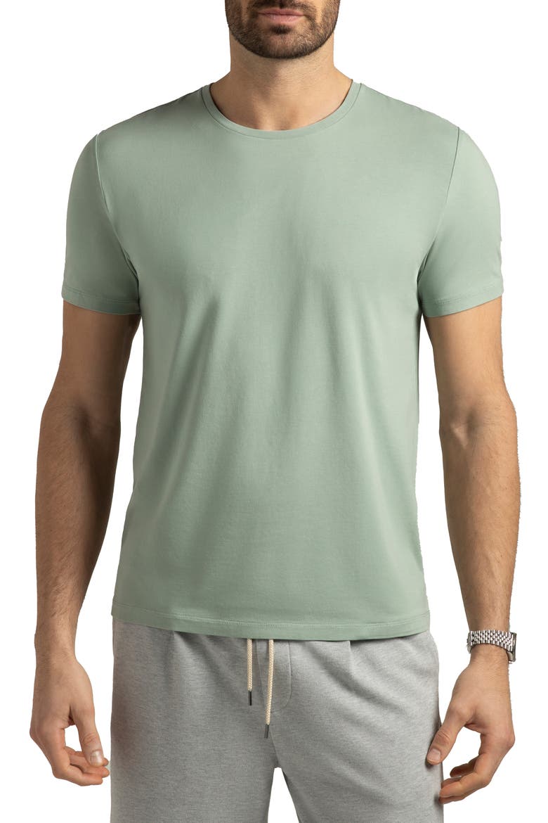 Topanga Performance T-Shirt, Main, color, SAGE