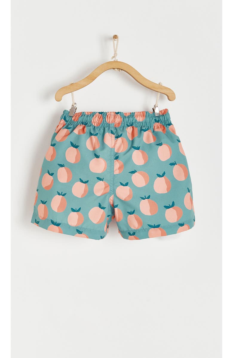 Babycottons Premium Quality Orange Swim Trunks for Toddler, Alternate, color, Green