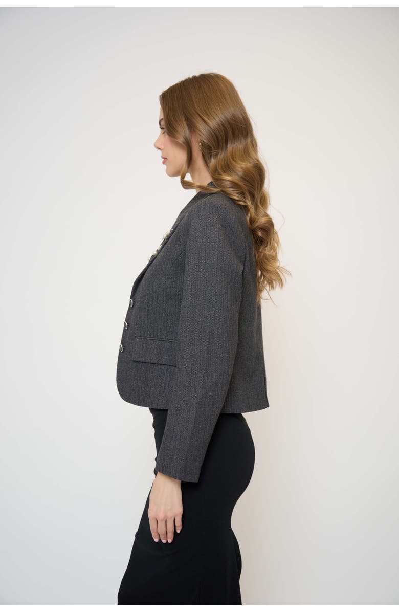 Central Park West Crystal Pins & Chains Cropped Blazer, Alternate, color, Black