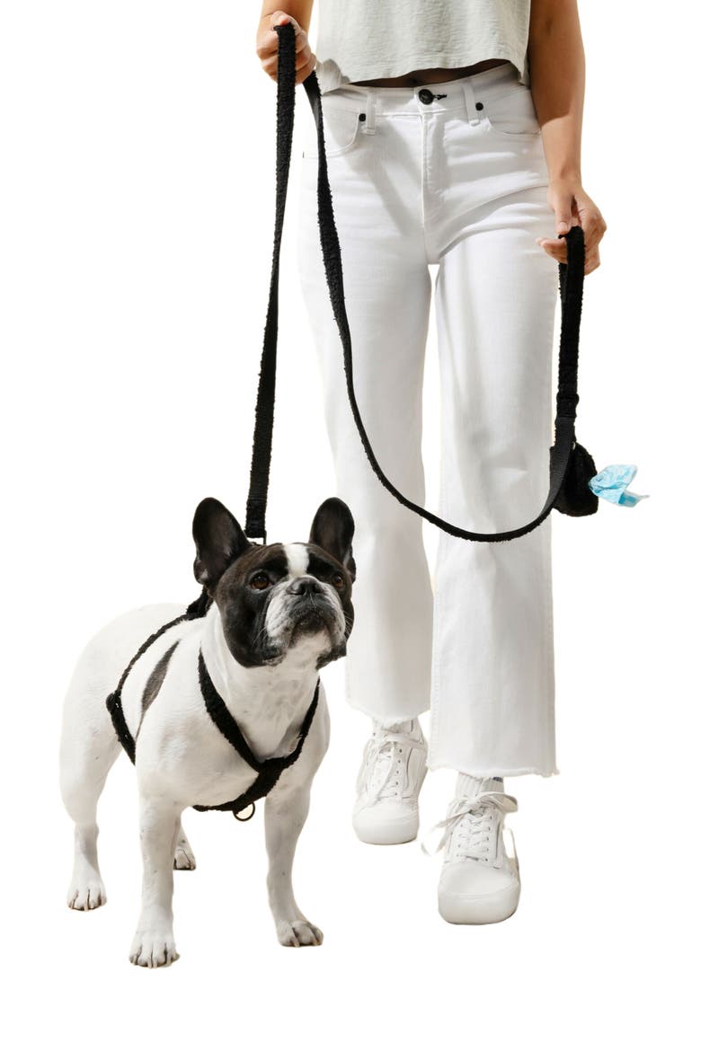 Teddy Bouclé Adjustable H Harness and Leash Walk Set with Poop Bag Pouch, Alternate, color, Black