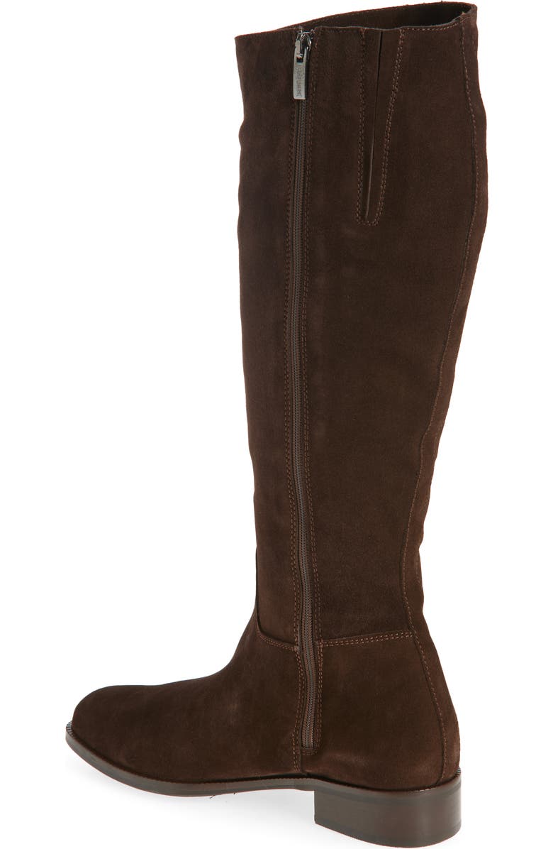 La Canadienne Segal Waterproof Tall Boot, Alternate, color, Brunette