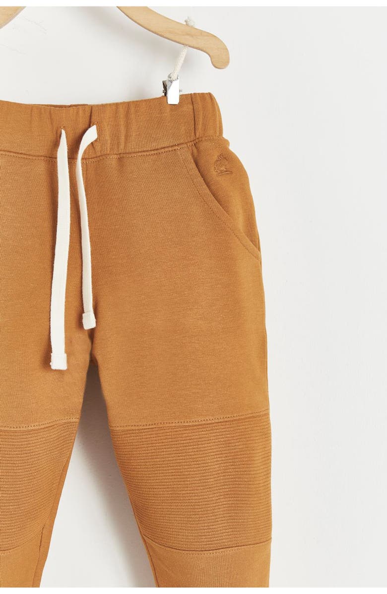 Babycottons Premium Cotton Merlin Jogger For Infant, Alternate, color, 