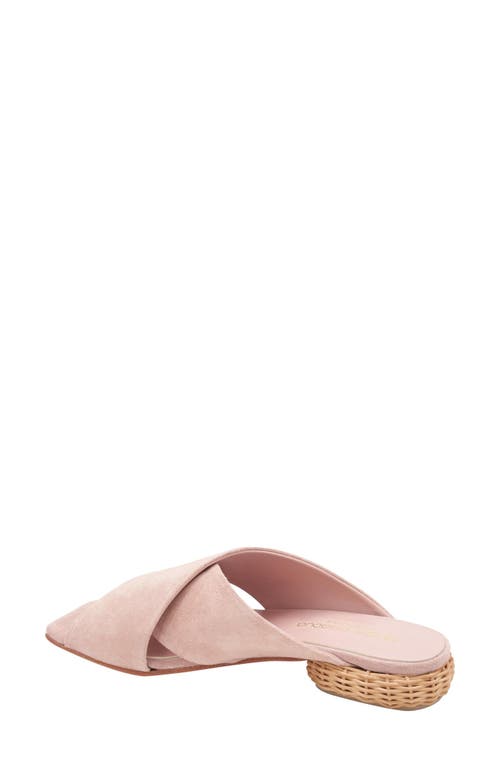 Andre Assous André Assous Willa Woven Heel Sandal In Blush
