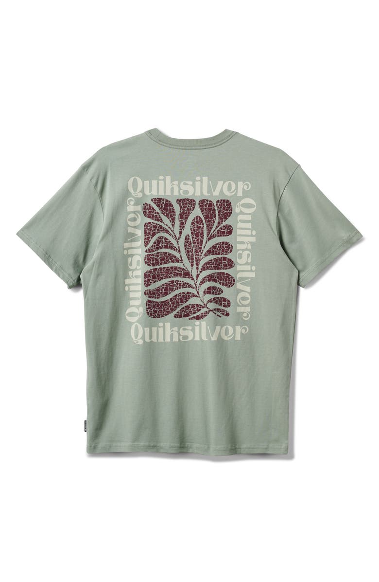Quiksilver El Naturel Cotton Graphic T-Shirt, Alternate, color, Herb