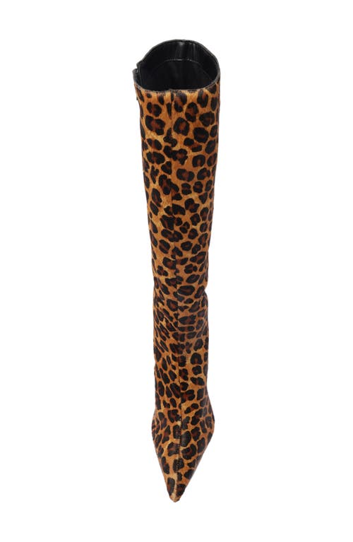 Arezzo Sasha Pointed Toe Knee High Boot In Multi