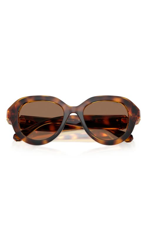 Swarovski 50mm Small Round Sunglasses In Brown