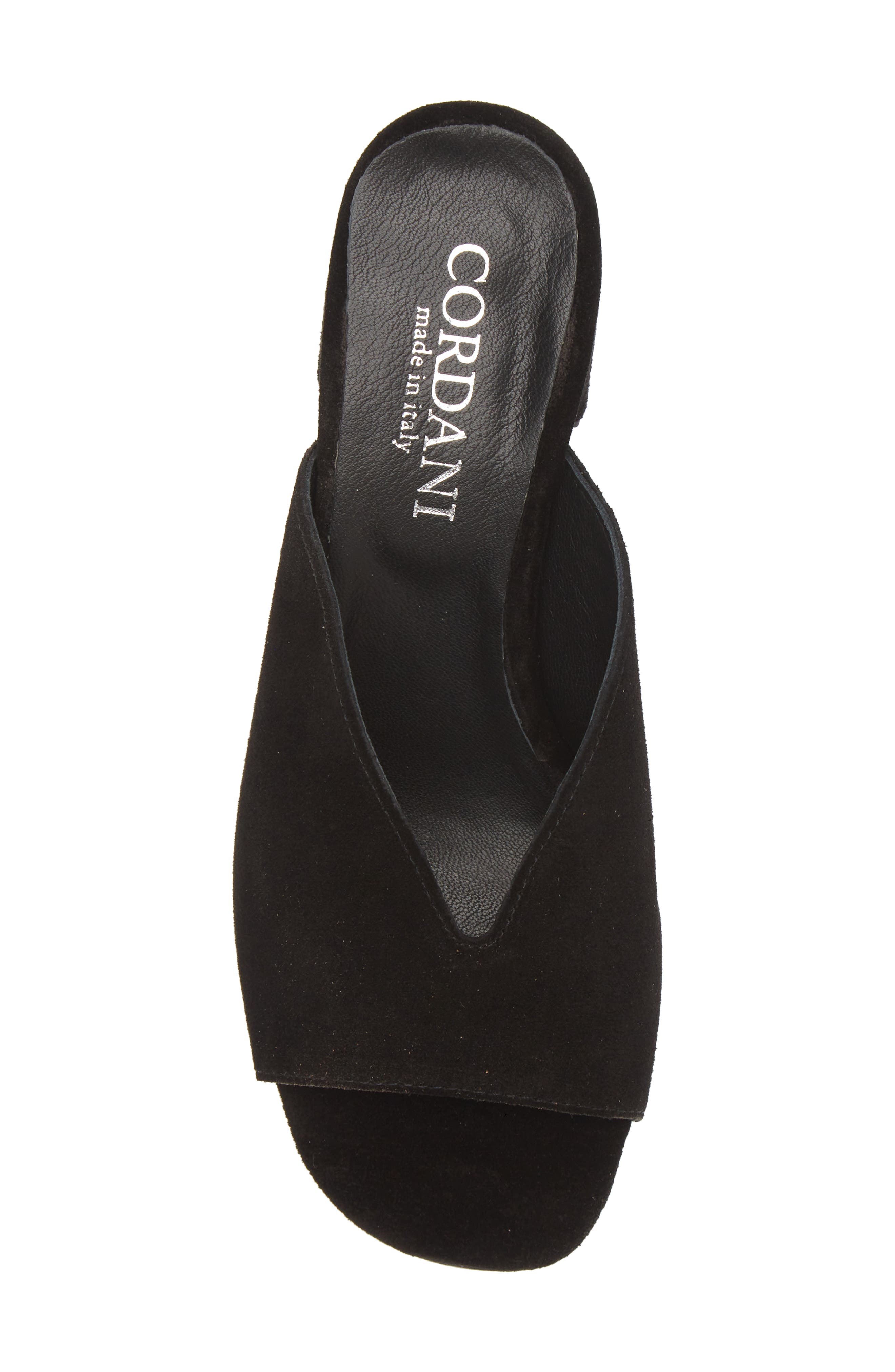 Cordani Pollie Slide Sandal, Alternate, color, Crosta Nero