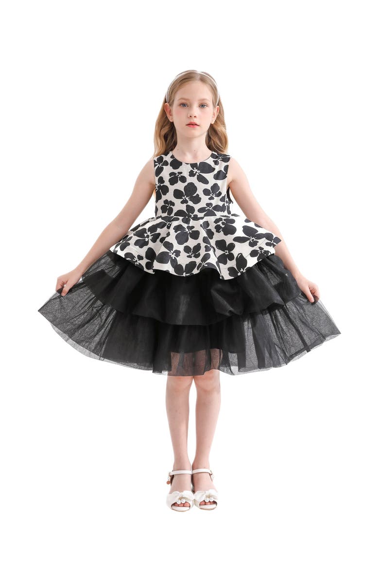 Tulleen Nazareen Dress, Alternate, color, Black