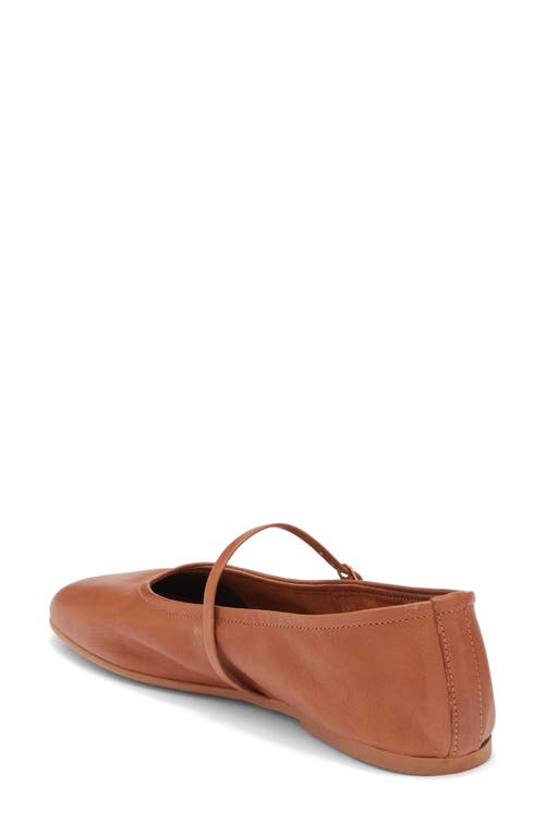 Steve Madden Besette Mary Jane Flat In Brown