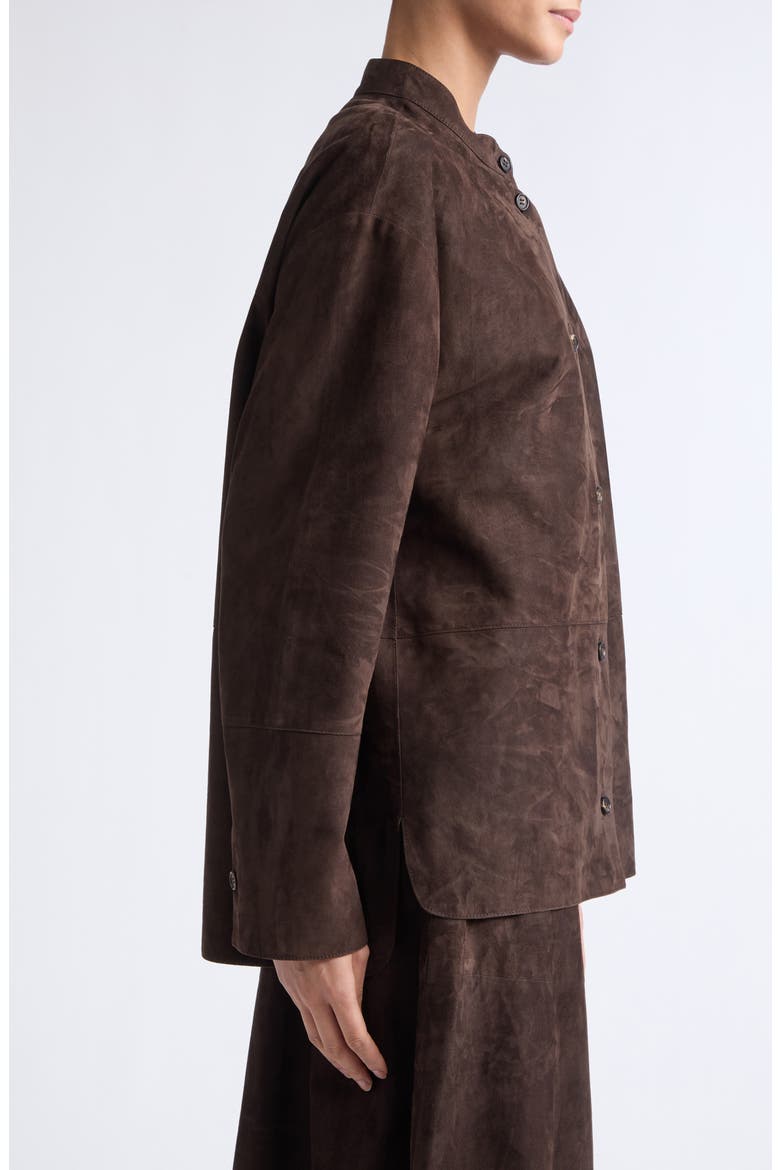 Danzante Suede Jacket, Alternate, color, BROWN