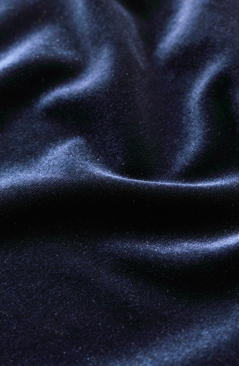 Seasalt Cornwall Winter Cherry Sleeveless Velvet Top, Alternate, color, 