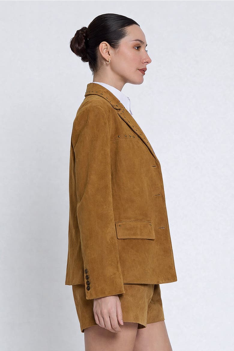 Odessa Studded Bf Blazer, Alternate, color, BROWN