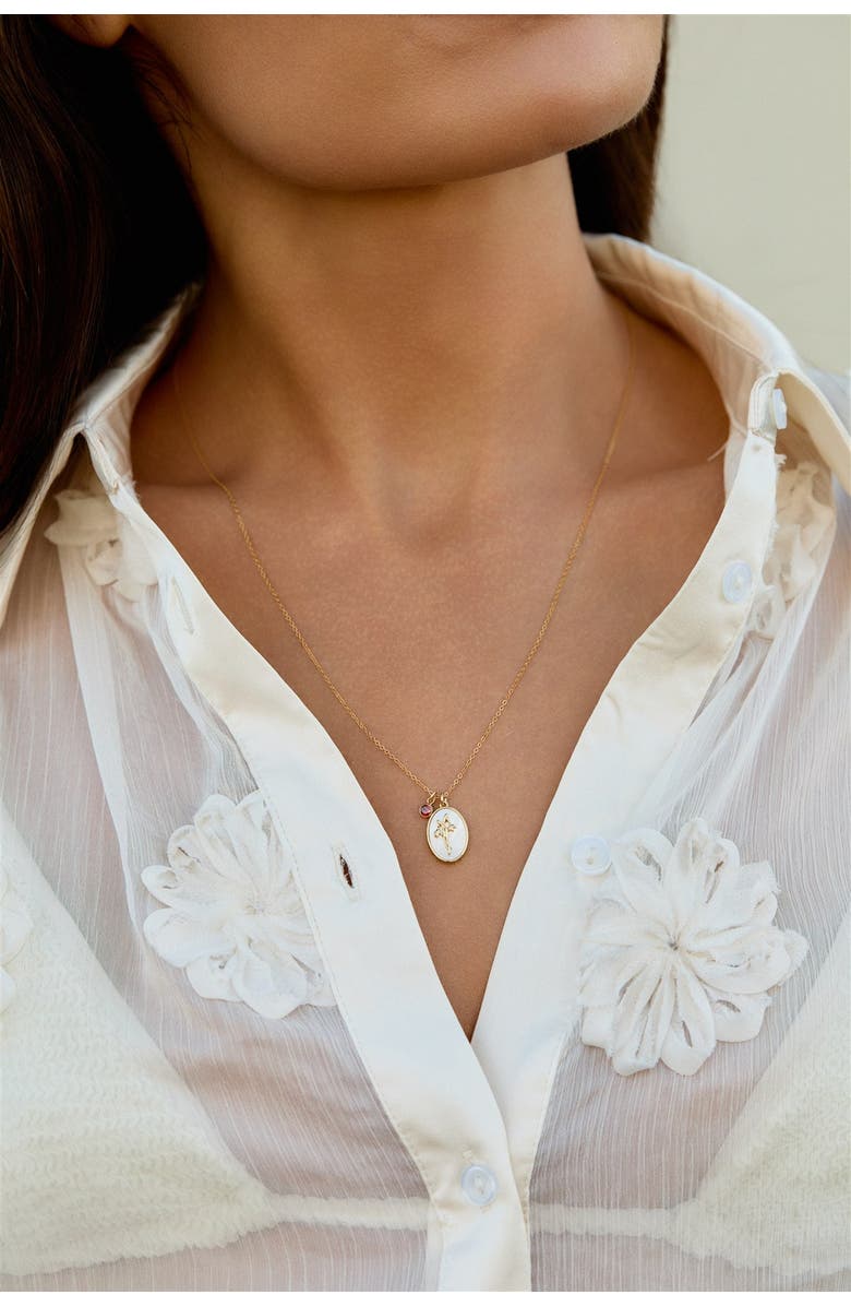 Set & Stones Katrina Birth Flower and Birthstone Charm Necklace, Alternate, color, Gold / January