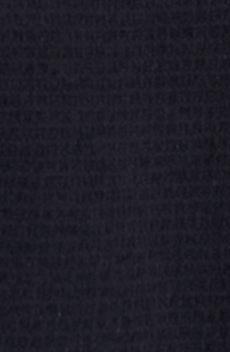 The North Face 'Denali Wind Pro<sup>®</sup>' Windproof Jacket, Alternate, color, 