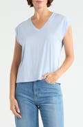 Nordstrom V-Neck Pima Cotton T-Shirt