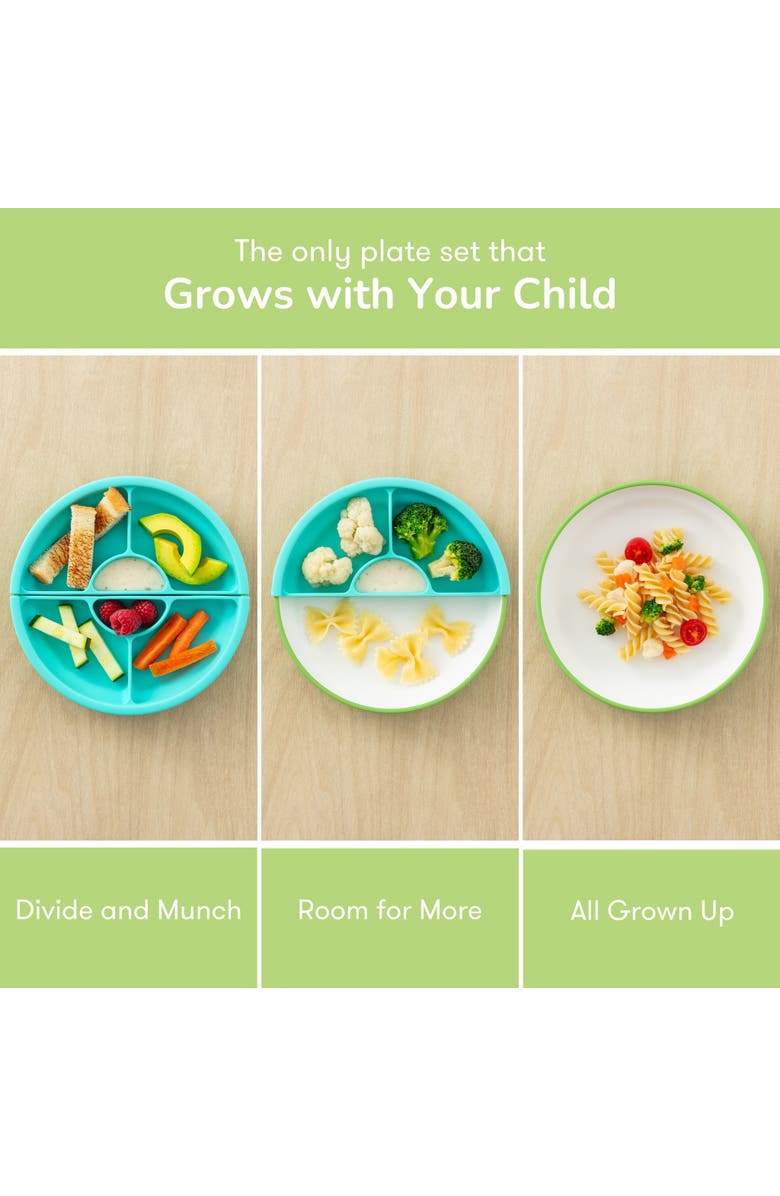 OMIE Easy Scoop Plate Set, Alternate, color,