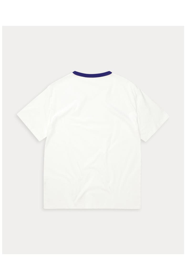 Boyd Cotton Crew Neck T-shirt, Alternate, color, Blue / White