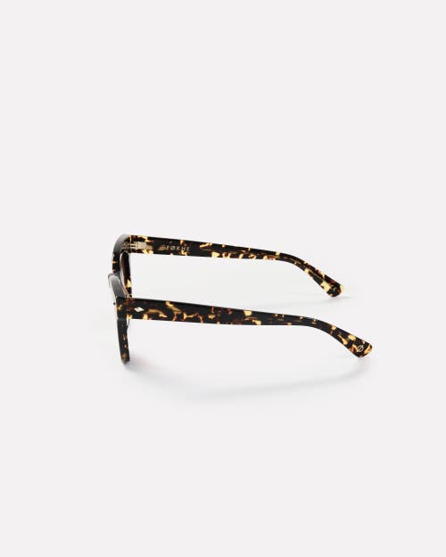 Epokhe Dylan Sunglasses